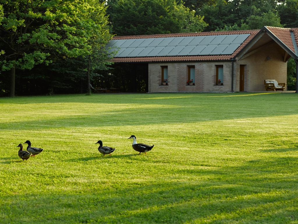 Relais Agrituristico Ormesani Villa San Liberale Ngoại thất bức ảnh