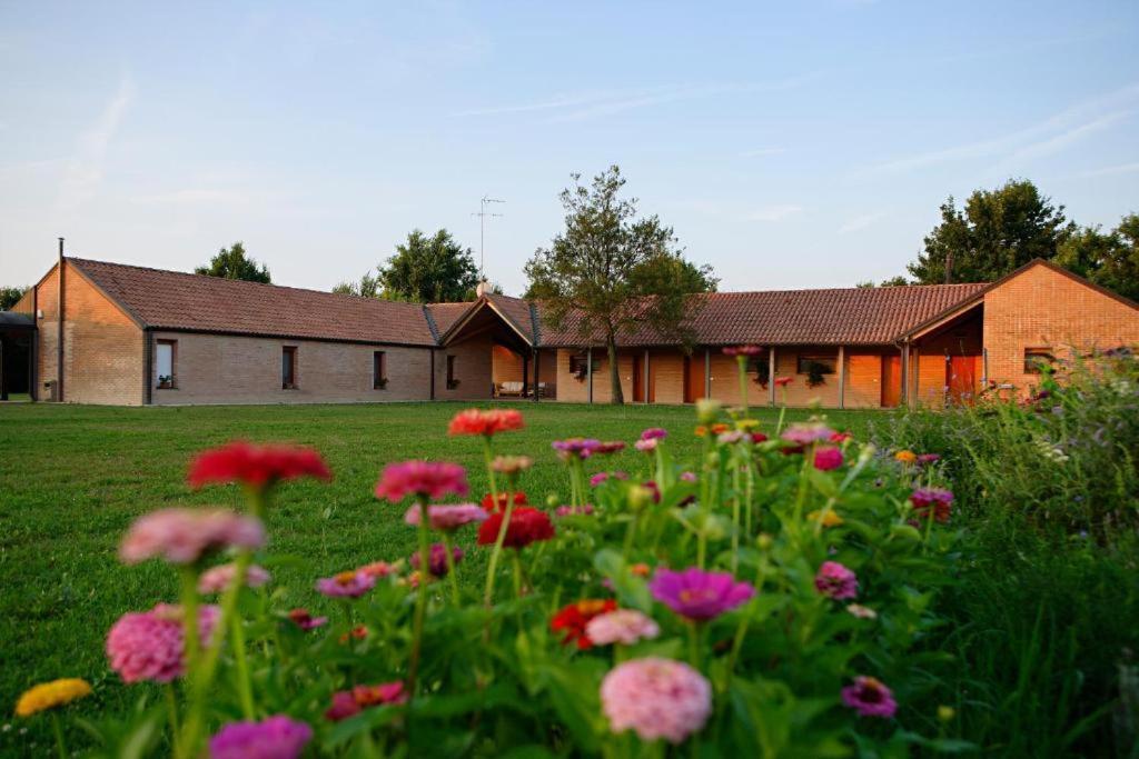 Relais Agrituristico Ormesani Villa San Liberale Ngoại thất bức ảnh